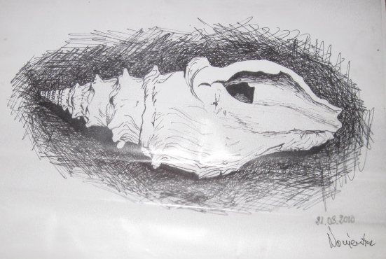 Edward Noniewicz - Inne prace - rysunki - 49 / 134 - 
